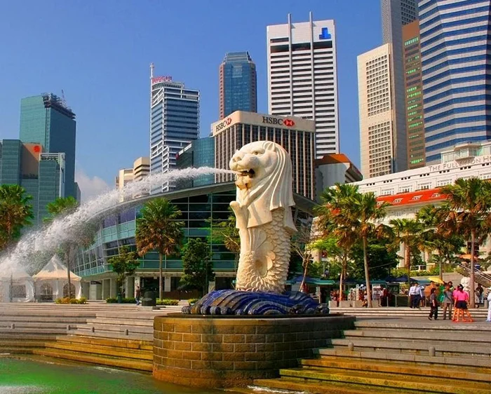 admission in singapore